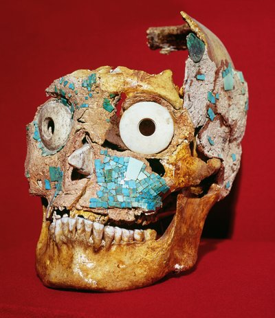 Skull decorated with a mosaic in turquoise and ivory, Mixtec, from Tomb 7, Monte Alban, 1300-1450 by Pre Columbian